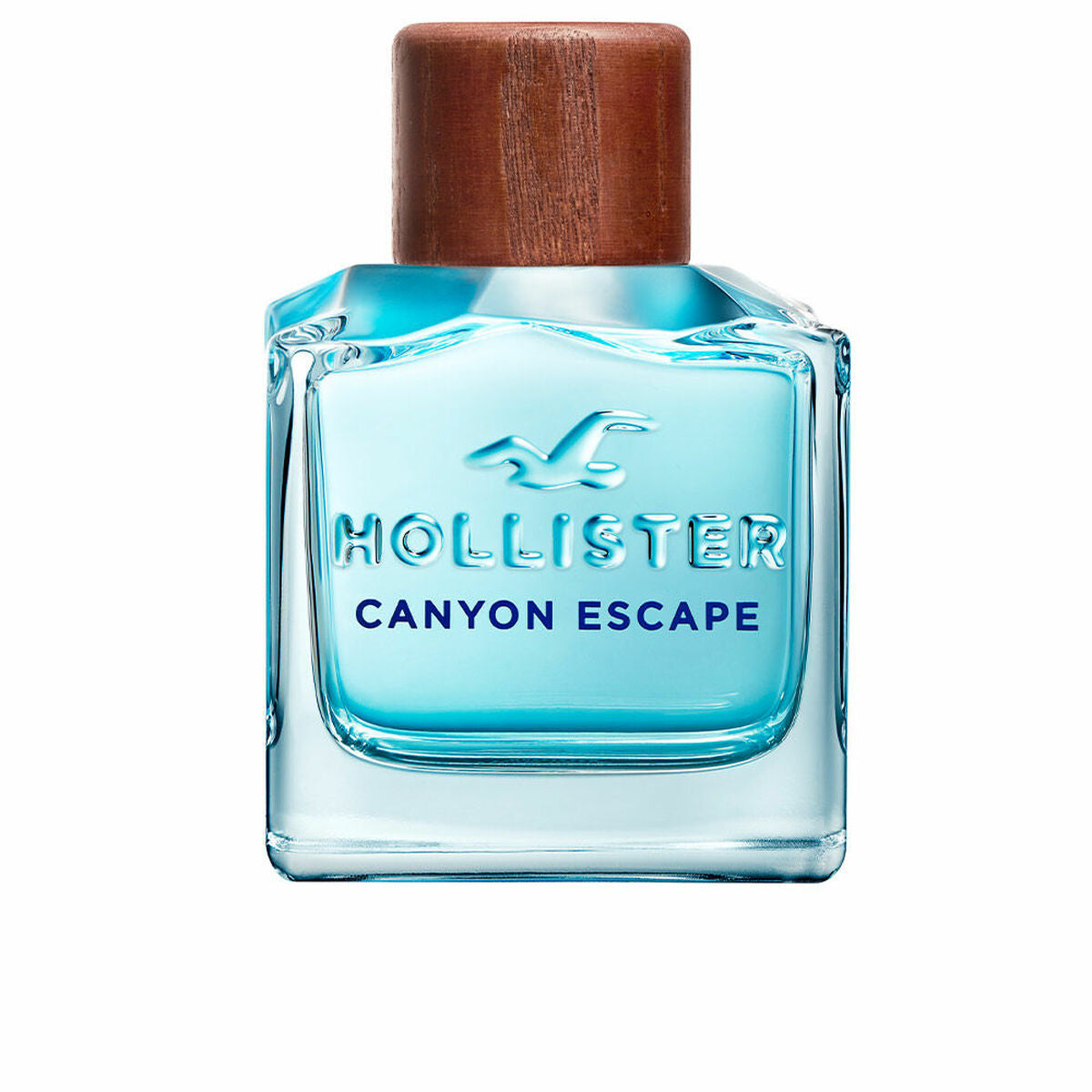 Hollister EDT man perfume 50 ml 100 ml capacity: 100 ml