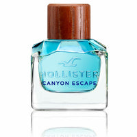 Hollister EDT man perfume 50 ml 100 ml capacity: 100 ml