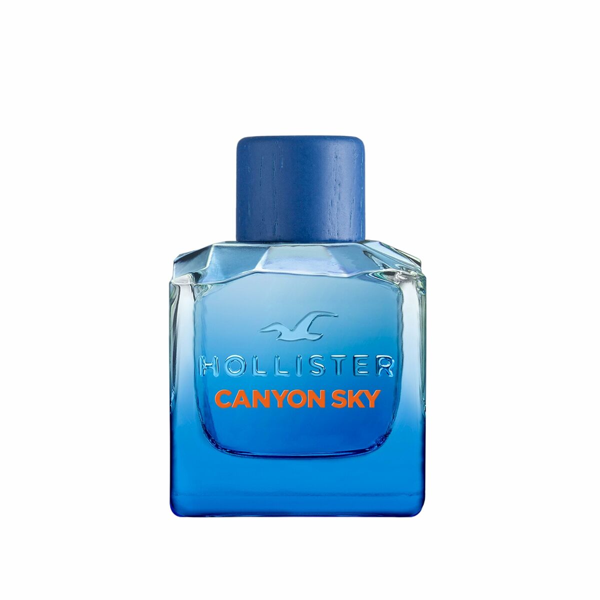 Hollister Canyon Sky EDT 100 ml perfume man