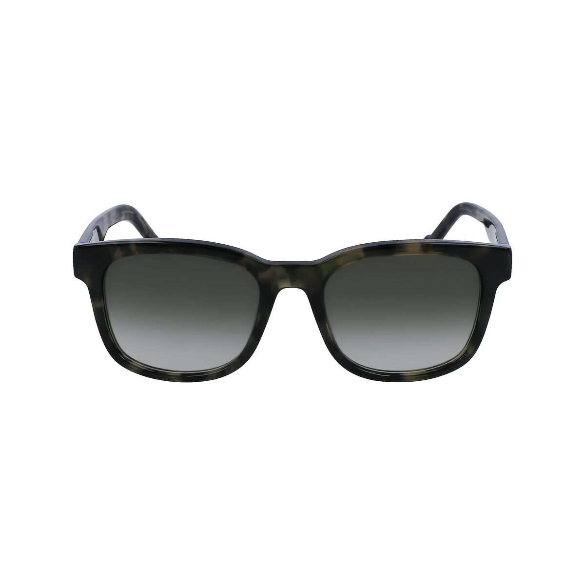 V4H55B24E29D46E2A118D97F079BDD8E2ADR5587963P2