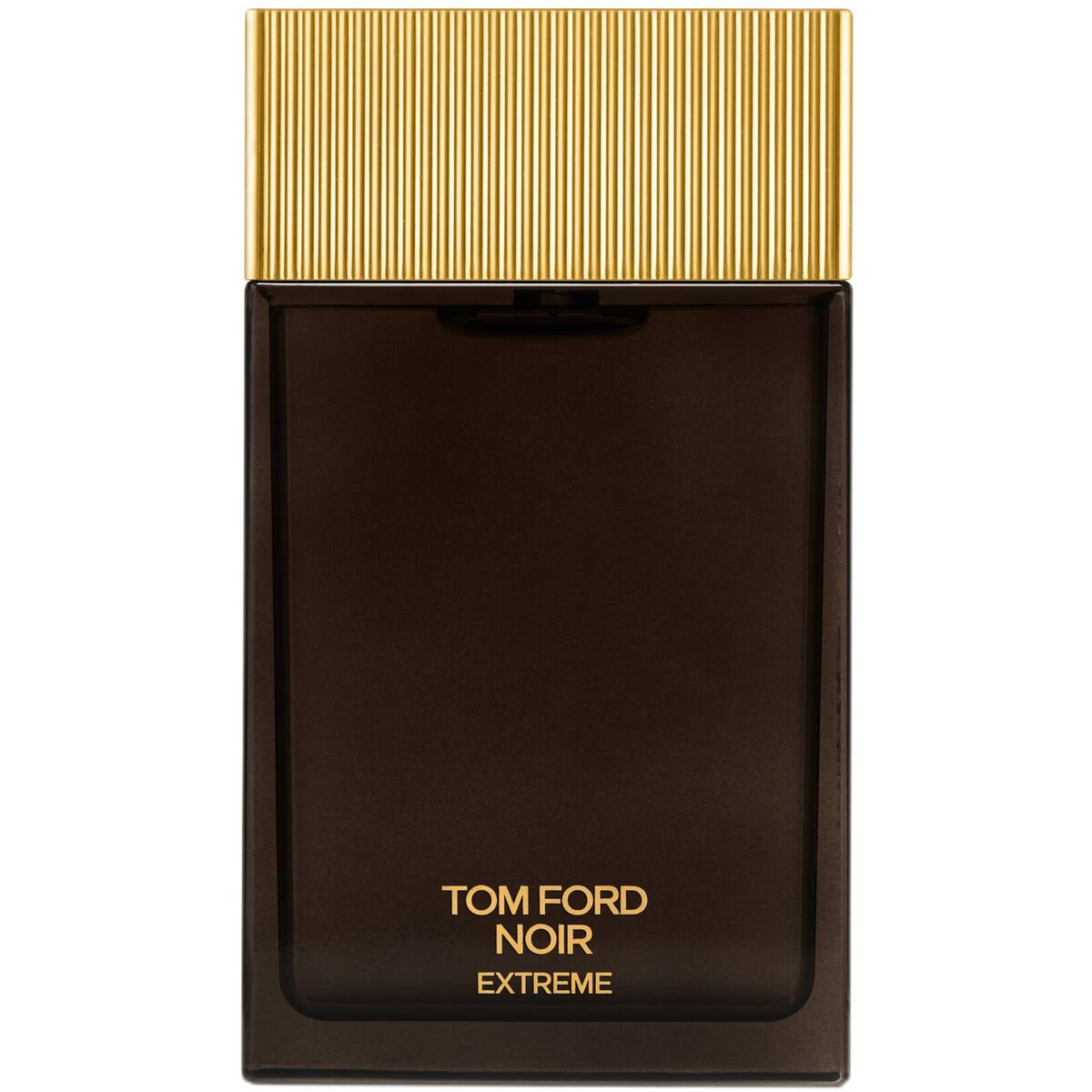 Man perfume Tom Ford EDP Noir Extreme 150 ml