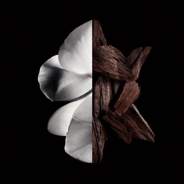 V5H29F747545892DF30CAB429BED0CC2928R6237557P2