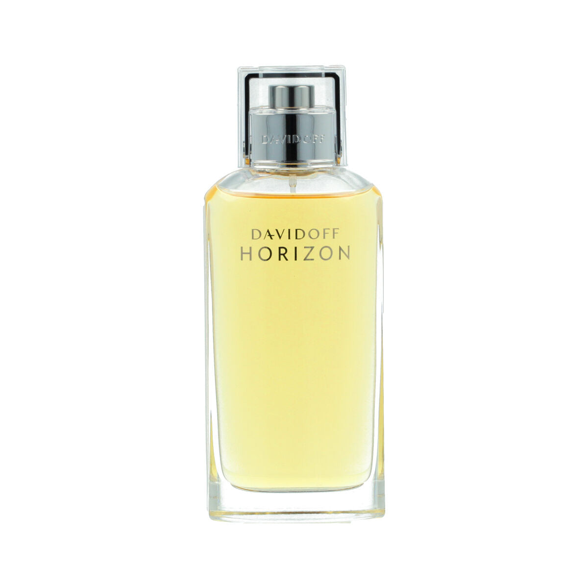 Perfume man Davidoff Horizon EDT 125 ml