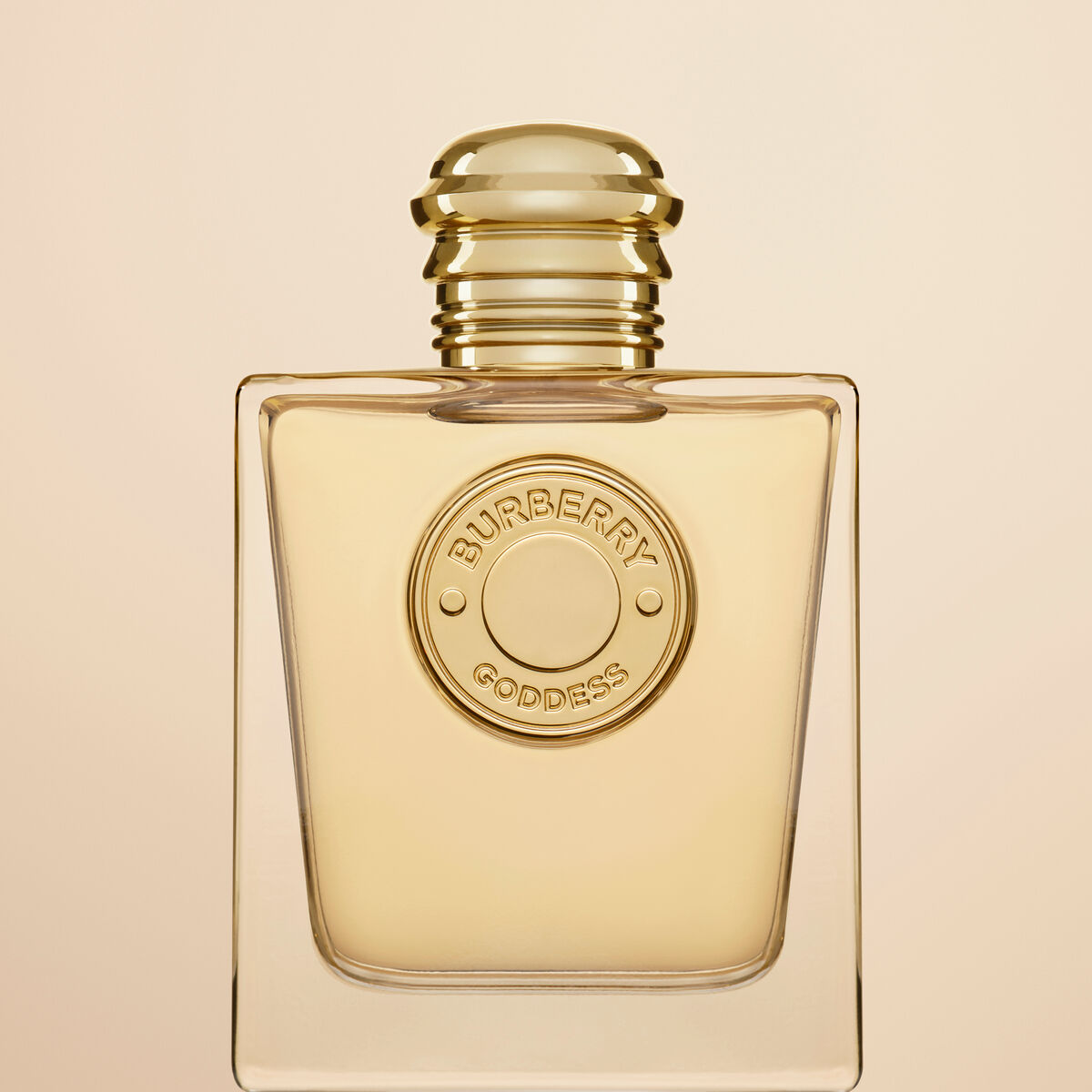 V3HDCDE7CE2B85DEA5C2AF4A2D03CDB5EE5R7327299P9