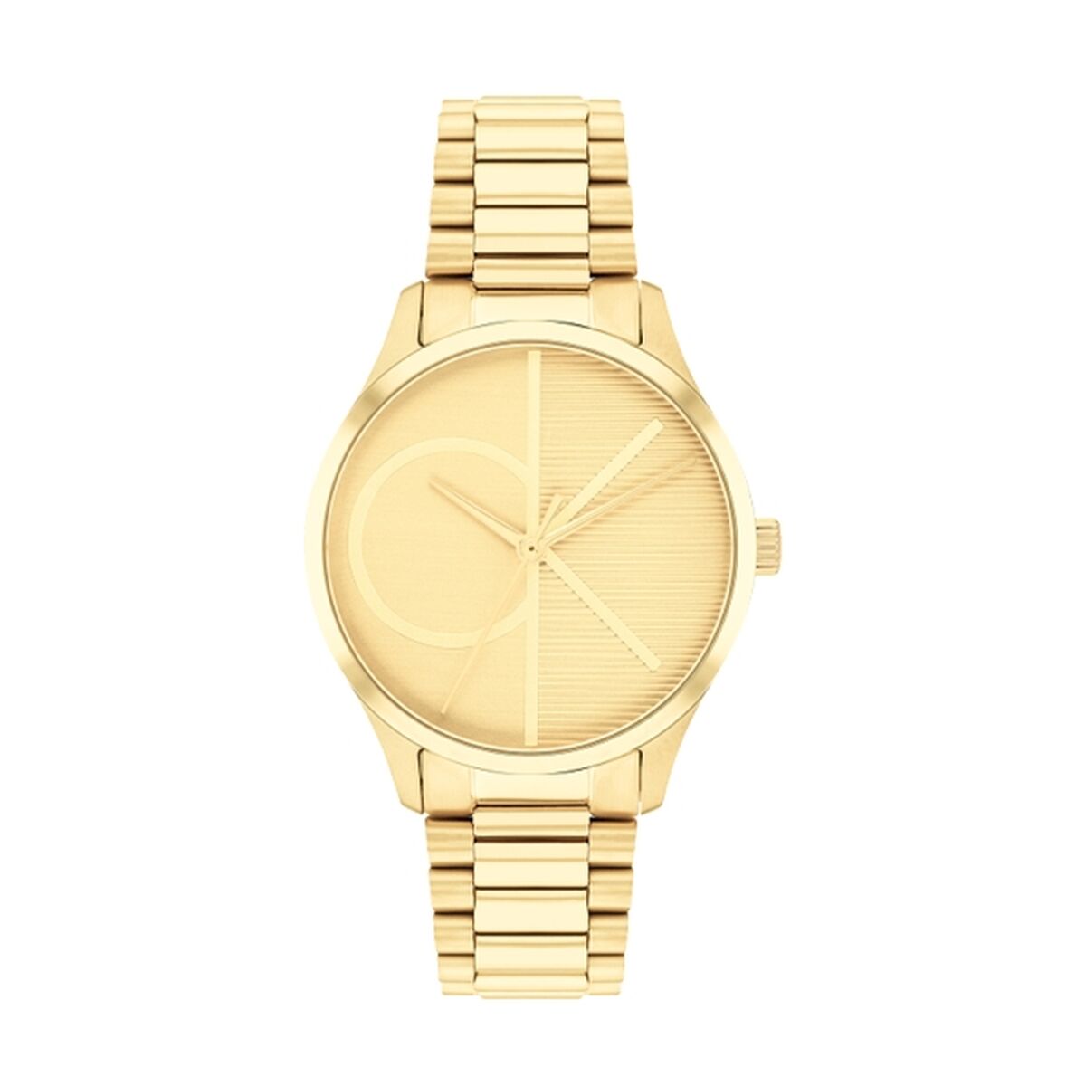 Orologio Donna Calvin Klein 25200346