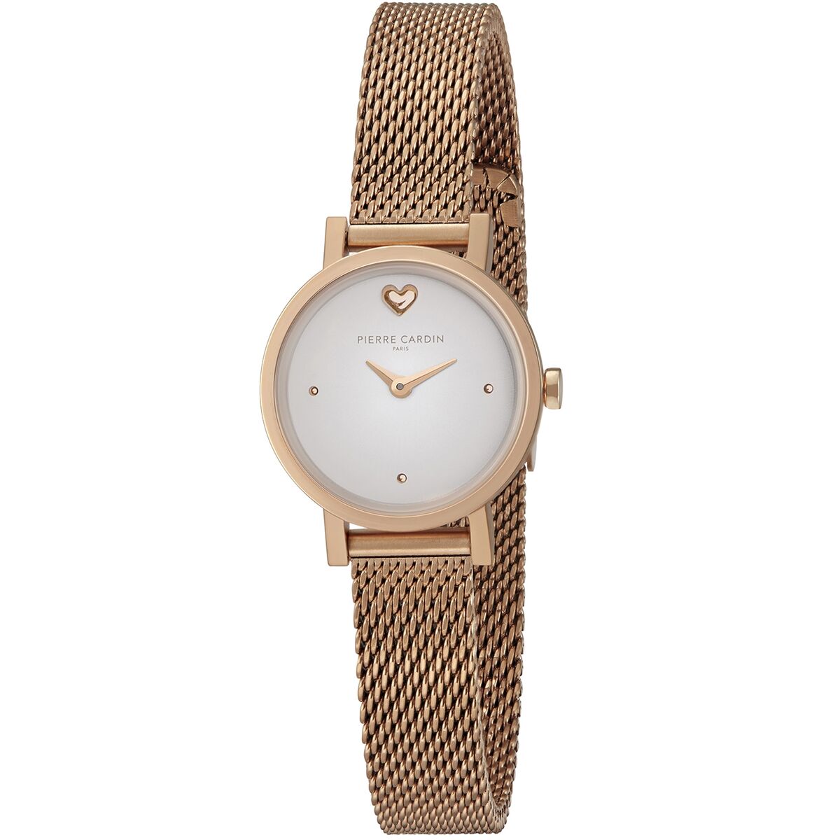 Woman watch pierre cardin ccm-0519-va