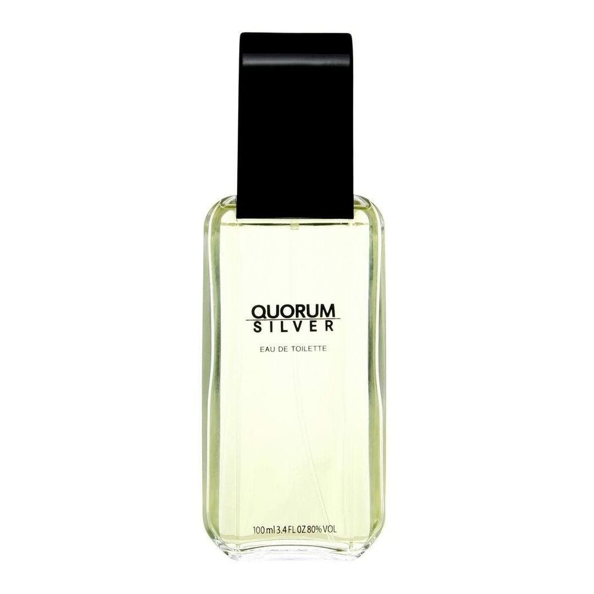 Profumeria Profumo Uomo Antonio Puig EDT Silver Quorum 100 ml Antonio Puig  Beauty Revive