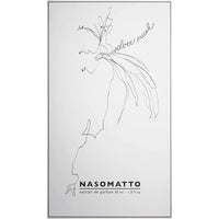 Profumo Unisex Nasomatto Silver Musk 30 ml