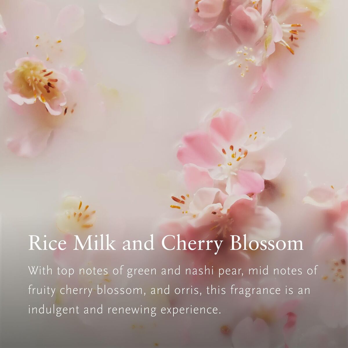 V2H6CA89CAC58E529B5BCAFFB51341EFDE8R7587131P3