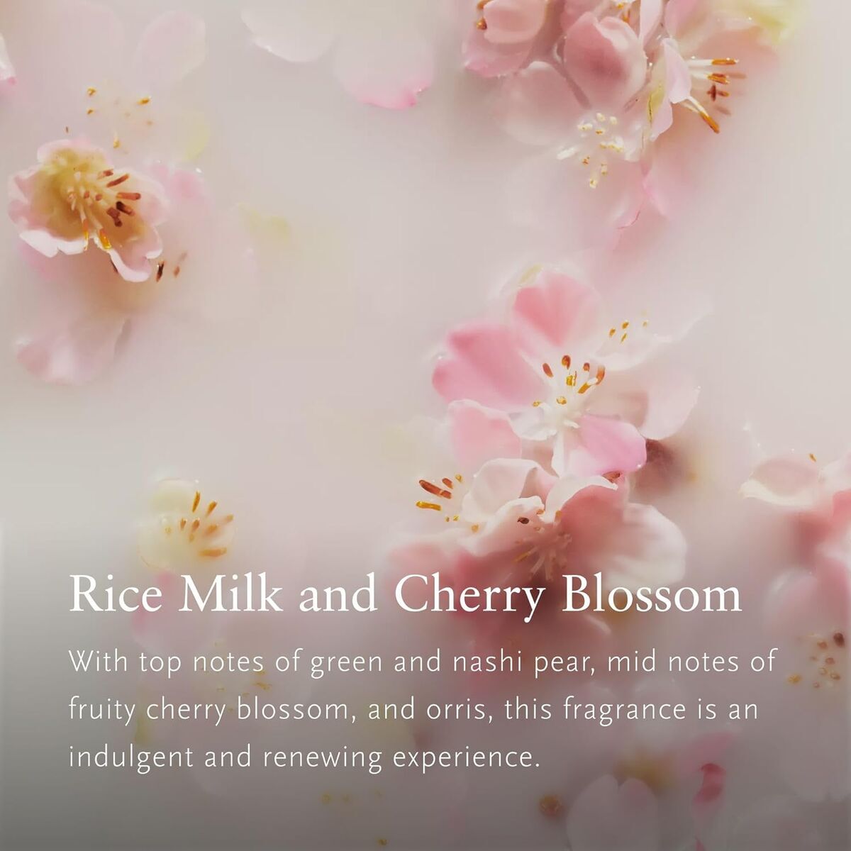 V2H4456BDC81C79DFB1F87A4177B81773CER7586723P4