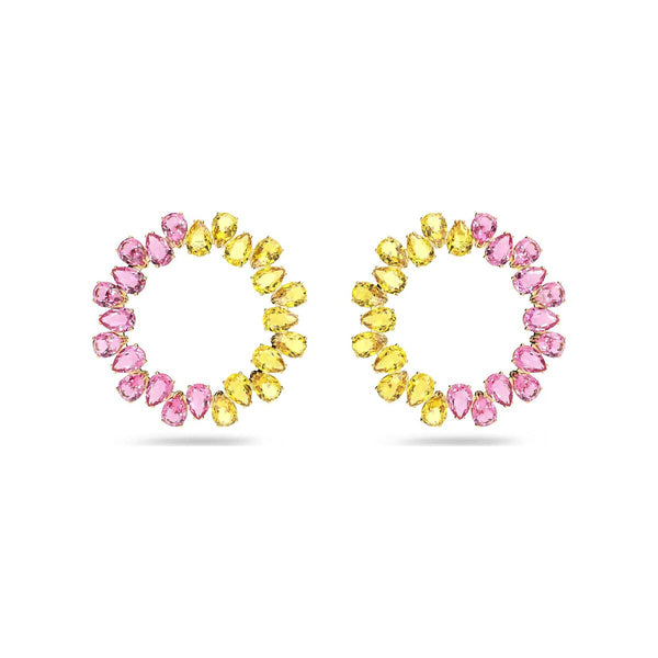 V2H2AC43953EC9280F6558EC52E61E89681R7579893P1