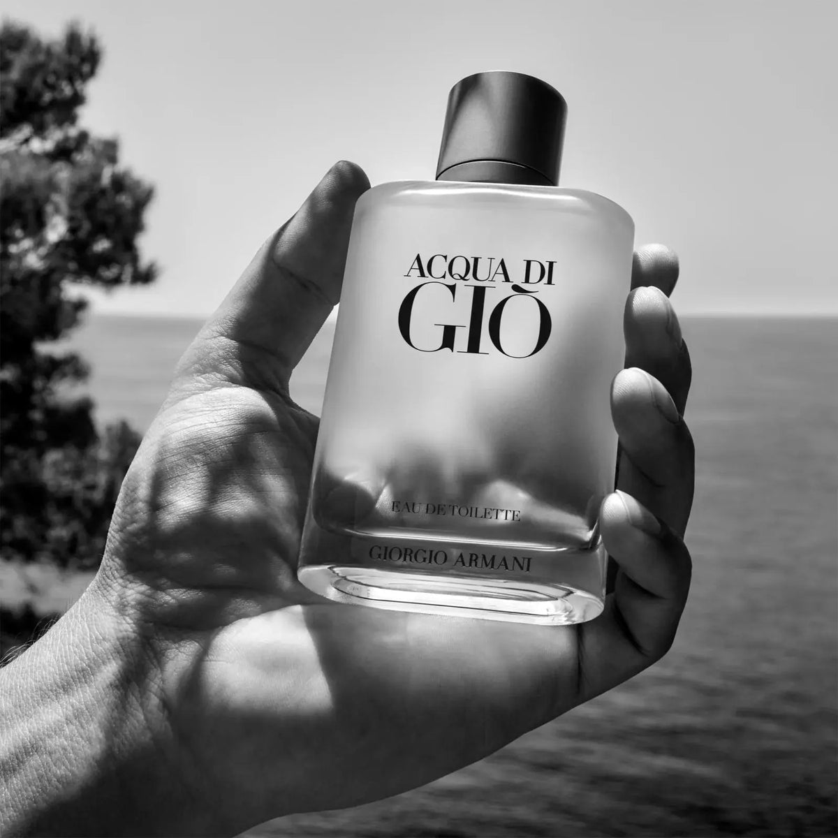 Profumo da uomo Acqua di Giò EDT Giorgio Armani  Beauty Revive