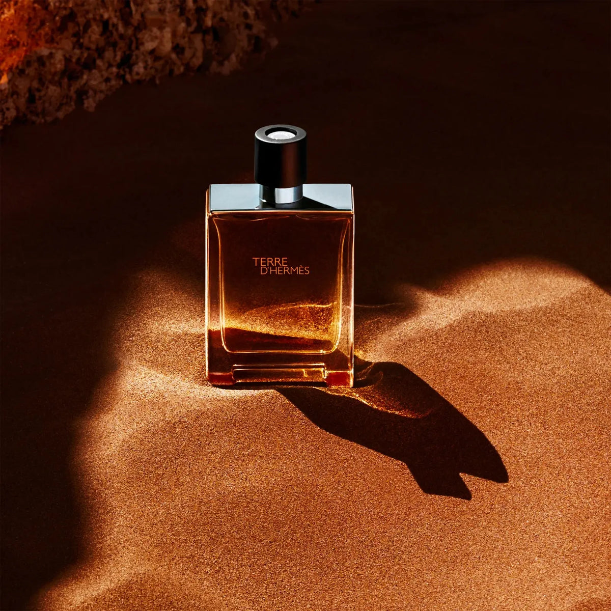 Profumo da uomo HERMÈS Terre d’Hermès Hermès  Beauty Revive