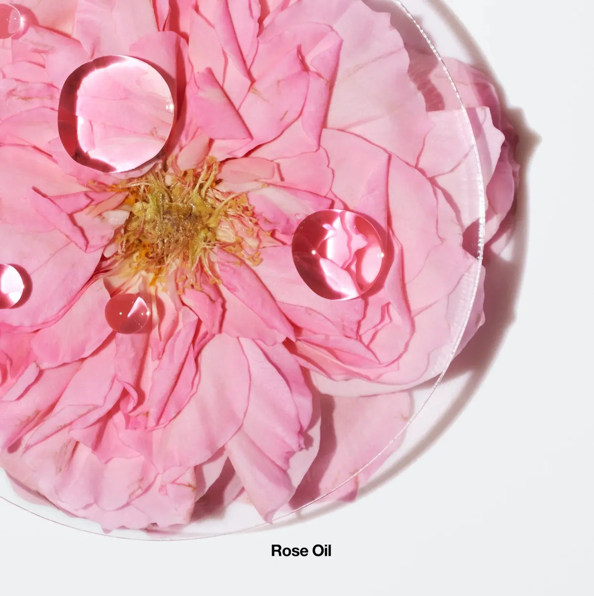 Profumo da donna Profumo Aromatics Elixir™ - Eau de Parfum Spray Clinique  Beauty Revive