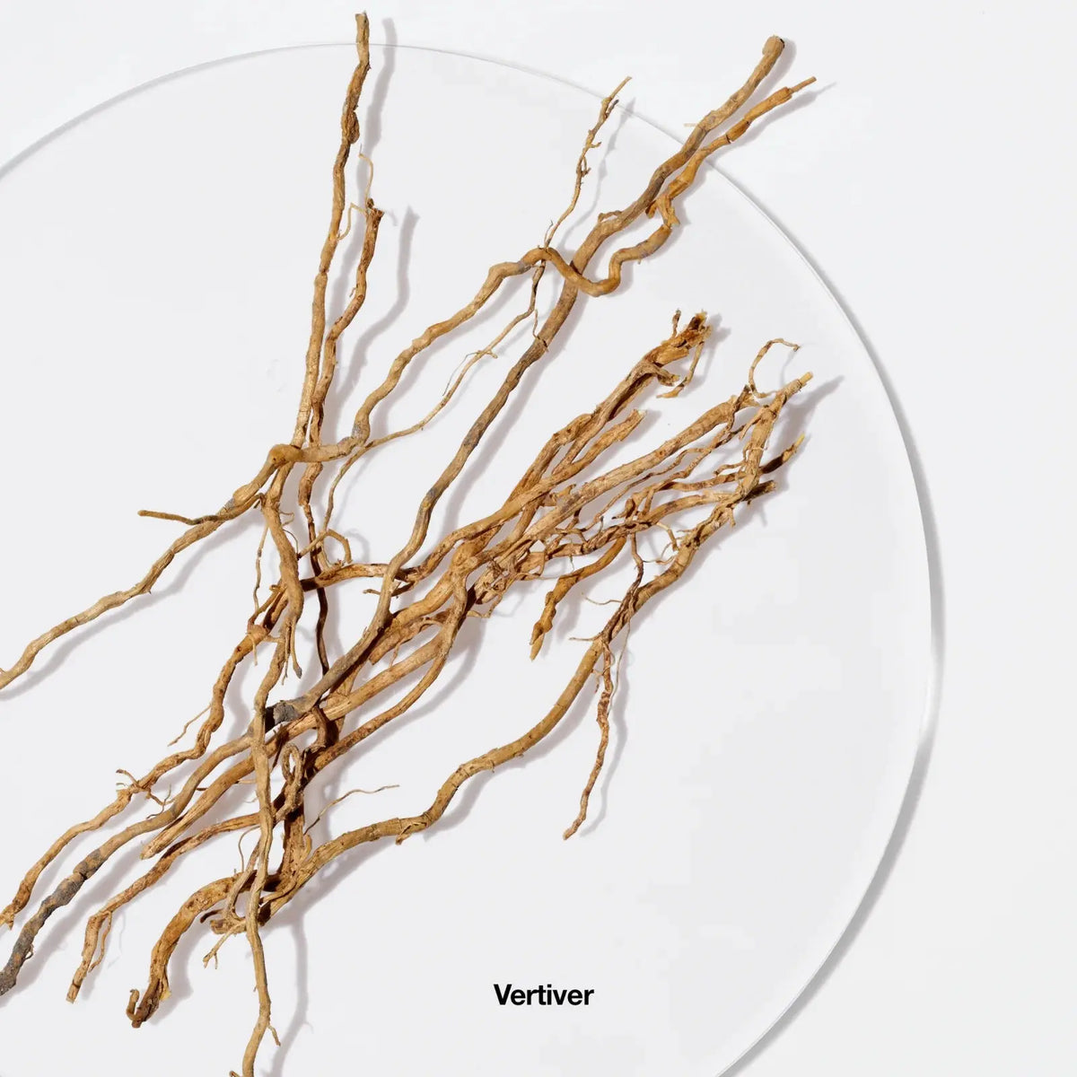 Profumo da donna Profumo Aromatics Elixir™ - Eau de Parfum Spray Clinique  Beauty Revive