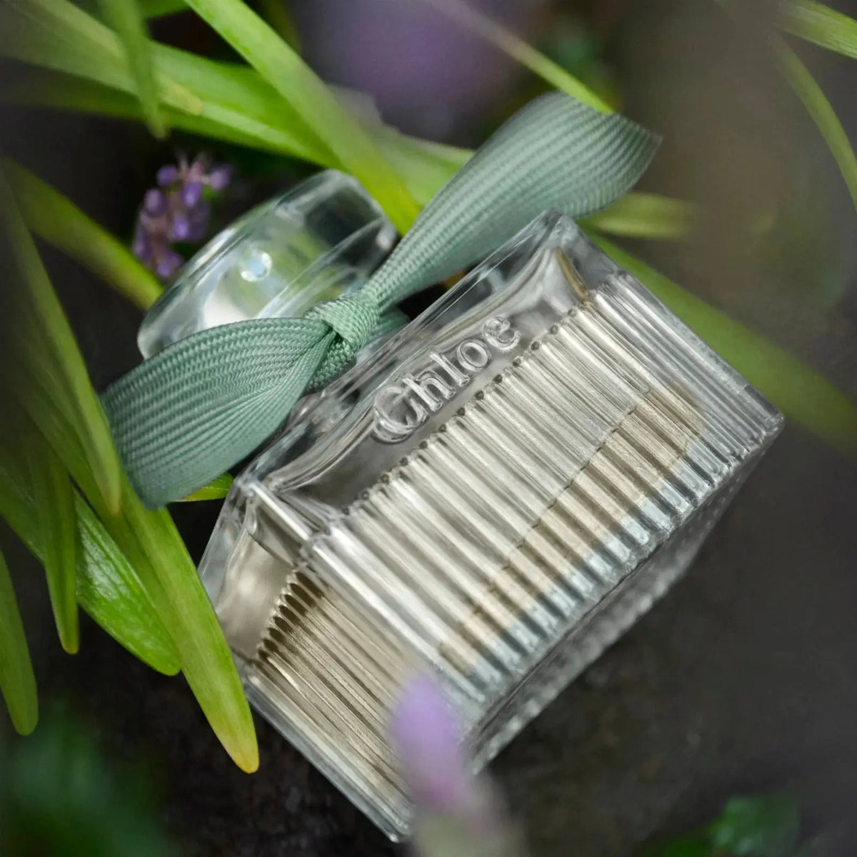 Profumo da donna Rose Naturelle Intense Chloe  Beauty Revive